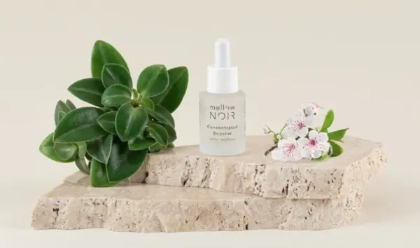 mellow noir rossmann