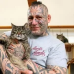 harte hunde popeye tot