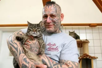 harte hunde popeye tot