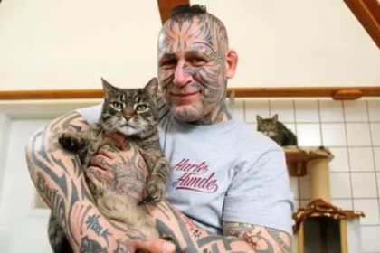 harte hunde popeye tot