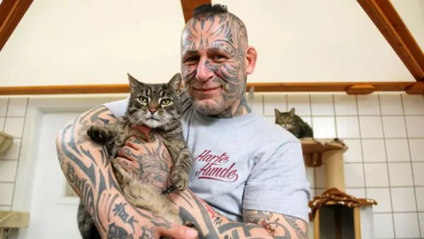 harte hunde popeye tot